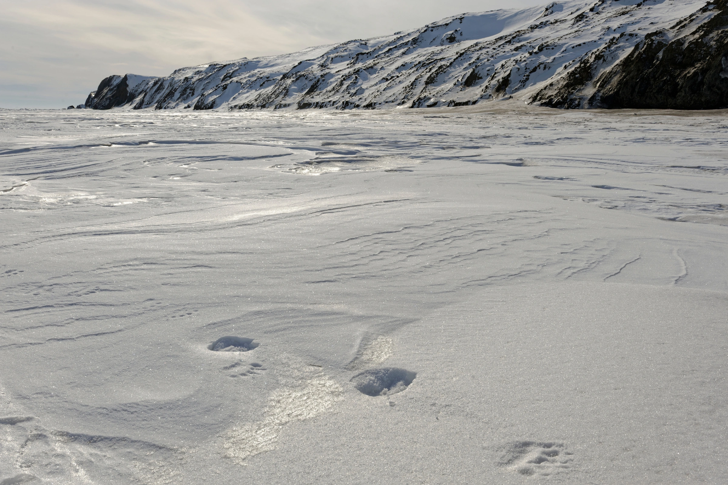 Herschel_Island,_Yukon[1].webp